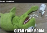 Jordan Peterson Kermit pill junkie