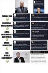 elon wef