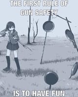 gun safety