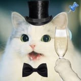 CHAMPAGNEKOT00