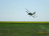 AN-2