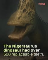 1727885964118