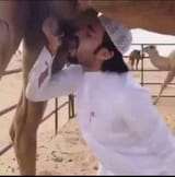 camel piss ahmed