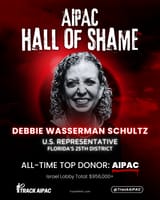 FL-25+Debbie+Wasserman+Schultz+Hall+of+Shame