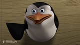 you_higher_mammal-2658241538
