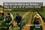 06.16.25-farm-labor-trump-28d3aa15-906c-46aa-81b0-e0d568bc4f34-scaled