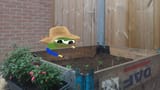 gardening pepe