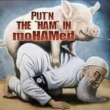 MoHAMed
