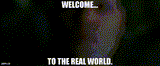 welcome