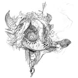 Crazy elf2