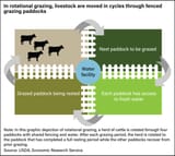 Rotational_grazing-Fig01
