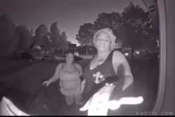 rapidsave.com_i_truly_have_no_idea_what_is_happening_here_door-qzxizsm2tf9f1-720_thumb.jpg