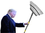 Trump-rake1