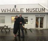 brosnan architect whale museum