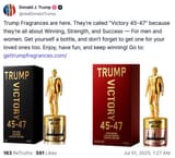 trump stink