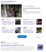 Nipahvirus