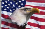 Americans Love America