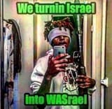 Israel dog