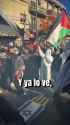 w82291e2b65dd1026cb14886_thumb.jpg