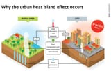 heat island
