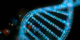 dna-testing_result