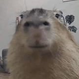 1741309824781068