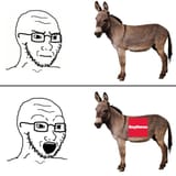 donkey_vs_tactical_load_bearing_quadruped