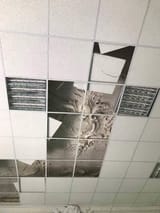 1602338406698