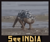 See India Saar