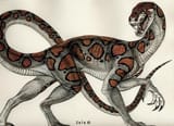 Eden Serpent - Although sometimes said to be nothing more than a snake misrepresented in the Bible, these ...and intelligent, and are said to have tricked Adam and Eve into committing the &#039;Original Sin&#039; in Judeo-Christian folklore
