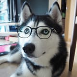 1502226889440