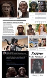 erectus lives