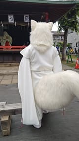 Fursuit167