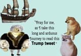 trump-tweet