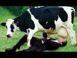 milkers