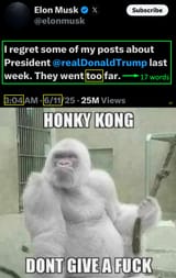 TheGorillaChannel