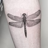 insect-tattoo-designs