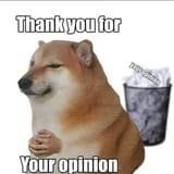 Your-opinion