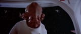 admiral-ackbar