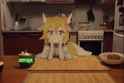 kon gives you copium_thumb.jpg