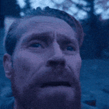 wllmdfgif