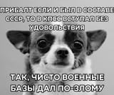 456864557865