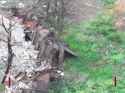 2025-07-01__wormbusters_p1_thumb.jpg