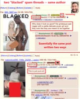 blacked penis white vagina this is art