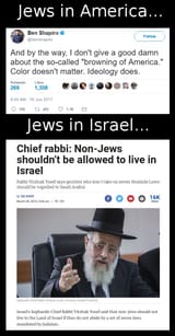 jews about goyim in israel