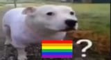 Is he, you know
