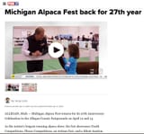 Alpaca