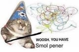 1735863885833302