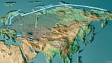 eurasian plain