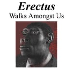 Erectus